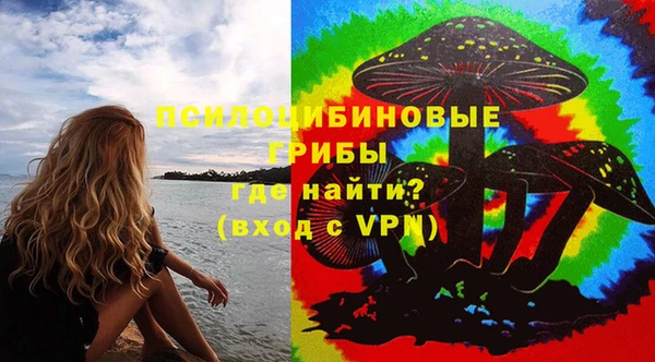 a pvp Инта