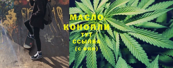крисы Инсар