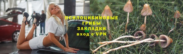 крисы Инсар