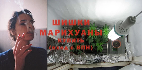 крисы Инсар