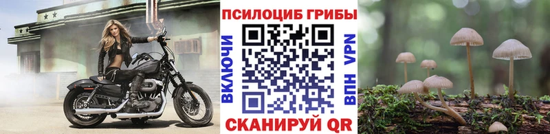 Купить закладки  Лиски  Галлюциногенные грибы Cubensis 